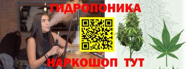 стаф Рязань