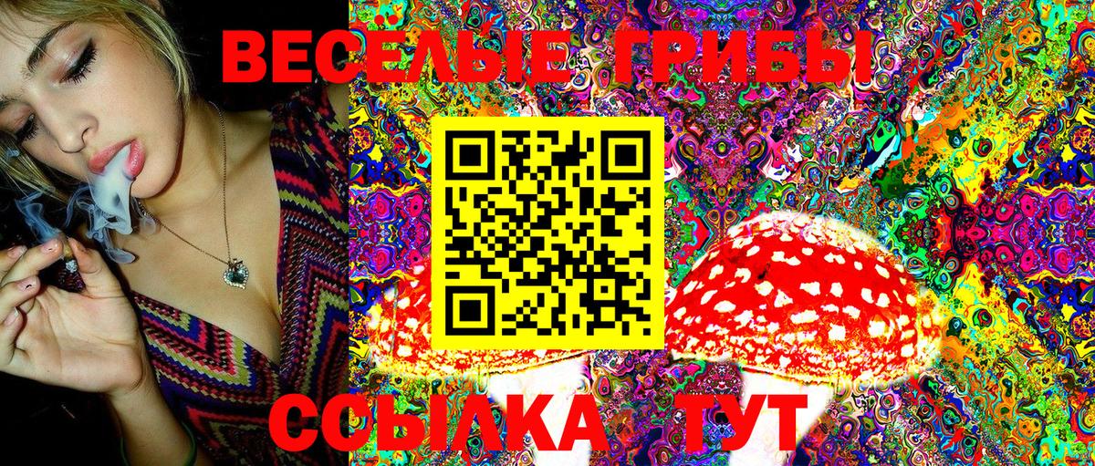 Псилоцибиновые грибы Psilocybe  Галлюциногенные грибы ЛСД  Оренбург  Вход с VPN 