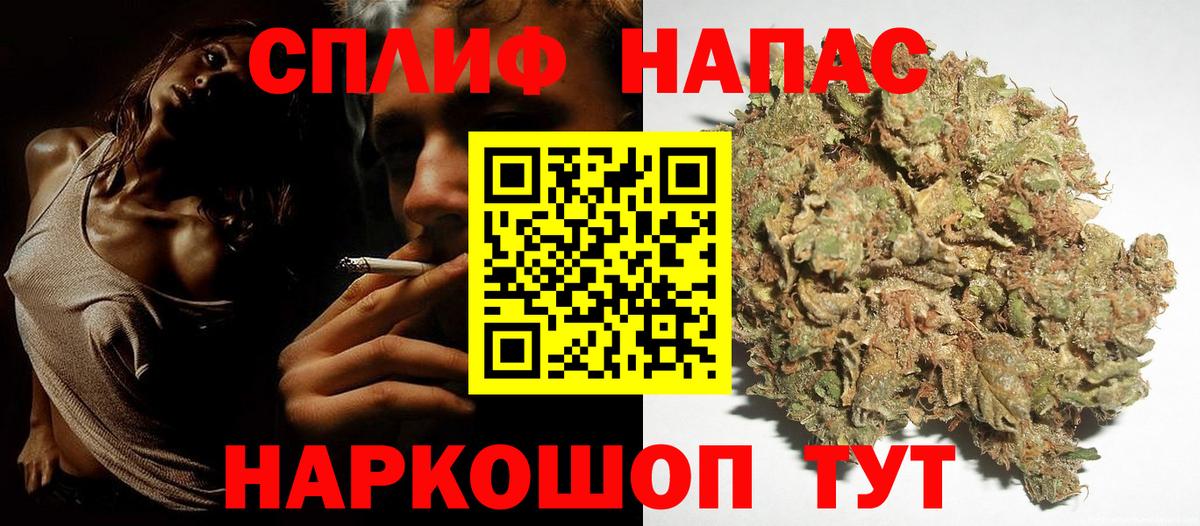 Конопля гибрид Оренбург
